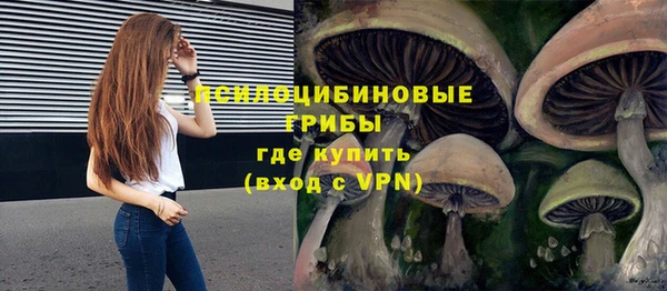 гашик Краснослободск