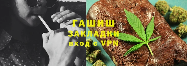 гашик Краснослободск