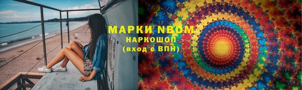 гашик Краснослободск