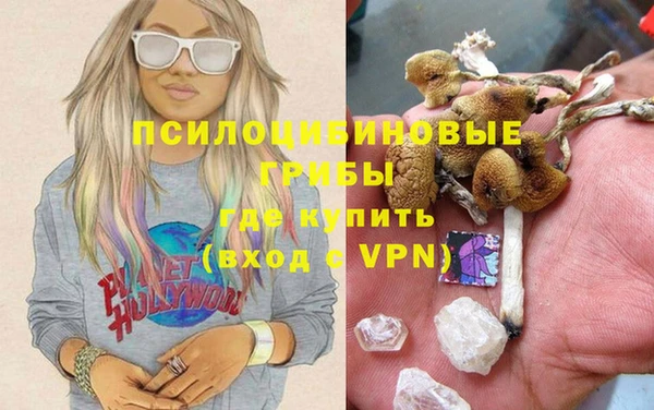 гашик Краснослободск